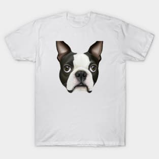 Cute Boston Terrier Drawing T-Shirt